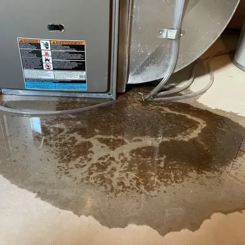 Appliance Leak Cleanup in Ina, IL